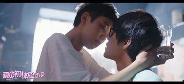 爱滋初体验在线观看,一场关于生命与爱的深刻旅程  第2张